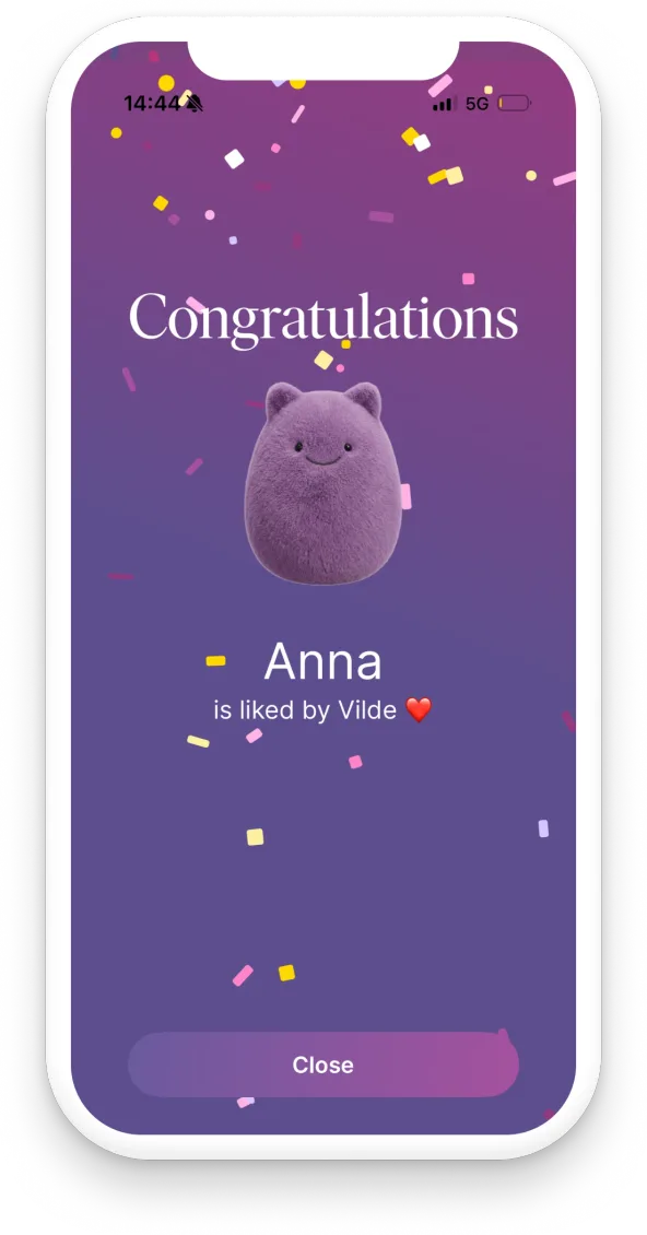Screenshot of the app showing a match